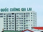 Quốc Cường Gia Lai lãi gấp 12,6 lần nhờ đâu?