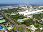 Lãi quý 1 sụt giảm, Tập đoàn Tân Tạo 'trách' tại HoSE và UBCKNN