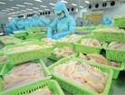 Con trai Tổng giám đốc Doãn Tới lại bị bán giải chấp 1,4 triệu cổ phiếu ANV