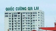 Quốc Cường Gia Lai lãi gấp 12,6 lần nhờ đâu?