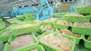 Con trai Tổng giám đốc Doãn Tới lại bị bán giải chấp 1,4 triệu cổ phiếu ANV