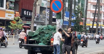 Hàng trăm trụ điện được “cởi áo giáp” sau nhiều năm quấn “cỏ” để chống rao vặt