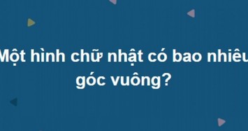 Loạt câu đố cho học sinh cấp 2 mà nhiều người lớn chưa chắc trả lời đúng hết