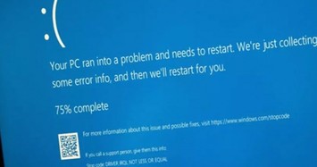 Windows 11 24H2 tiếp tục khiến người dùng đau đầu vì lỗi mới