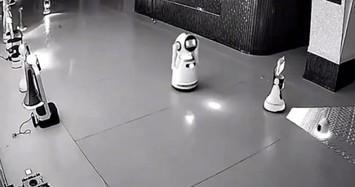 Video 12 robot bị rủ rê bỏ việc bởi một robot khác đang gây sốt