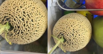 Quả dưa lưới khiến nhiều người khóc thét hóa ra lại có giá đắt đỏ, có quả lên đến tiền triệu