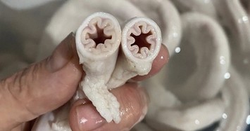 Đủ loại lòng se điếu hàng tươi, hàng đông lạnh rao bán trên “chợ mạng”