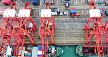 Không còn tàu hàng nào từ Trung Quốc cập cảng California: Báo động đỏ cho thương mại Mỹ
