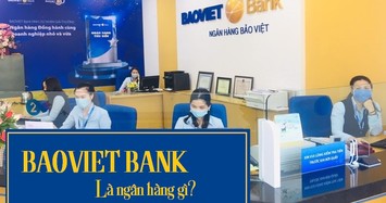 Ngân hàng Bảo Việt: Nợ có khả năng mất vốn tăng lên gần 1.300 tỷ