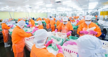 Lợi nhuận của Thủy sản Nam Việt năm 2023 chỉ đạt 10,9% kế hoạch