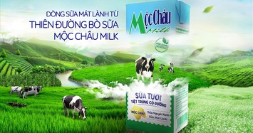 Mộc Châu Milk: Doanh thu sụt giảm, lợi nhuận chạm đáy