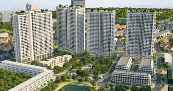 HTL Việt Nam: Lợi nhuận tăng gấp 22 lần, dư nợ trái phiếu ở mức 233 tỷ