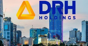 Cổ phiếu DRH Holdings bị HoSE đưa vào diện cảnh báo 