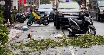 Một phụ nữ tử vong do nhánh cây rơi trúng đầu trong mưa lớn