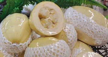 Cận cảnh những quả bí độc, lạ ở Việt Nam