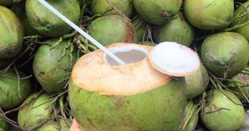 Dừa tươi tăng giá gấp đôi vì nắng nóng