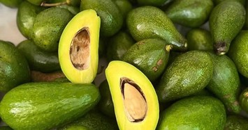 Bơ đầu mùa tăng giá gấp đôi