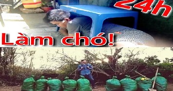 Thử thách dọn rác đang sôi sục trên thế giới ra sao?