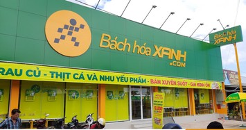 Hành trình Bách Hóa Xanh từ “gà đẻ trứng vàng” đến bán mình tồn tại