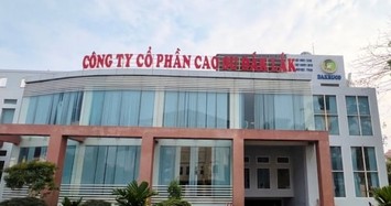 Công an tỉnh Đắk Lắk khởi tố Tổng giám đốc Công ty Cổ phần Cao su Đắk Lắk 