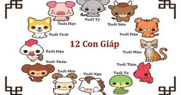 Tử vi tuần 7/12/2020 đến 13/12/2020 cho 12 con giáp: Thân Tuất Tỵ vào bảng vàng may mắn