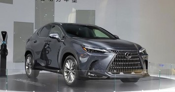 Cận cảnh xe hạng sang Lexus NX 400h+ 2022 chạy 100 km chỉ tốn gần 5 lít xăng 