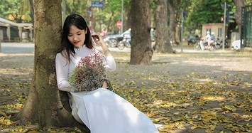 Ảnh: Hà Nội lãng mạn trong mùa lá sấu rụng 