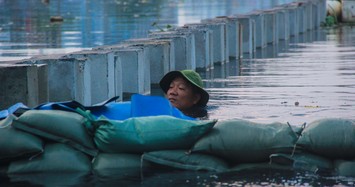 Hàng trăm người ngụp lặn trong nước đen gia cố đê vỡ do triều cường 