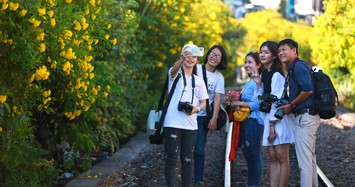 Ngắm thiếu nữ xinh đẹp 'check-in' đường tàu rực vàng hoa huỳnh liên ở Sài Gòn