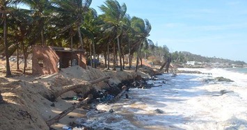 Biển Phan Thiết sạt lở nghiêm trọng 