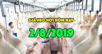 Giá heo hơi hôm nay 2/8: Giá heo hơi miền Bắc tăng 2000 đồng/kg 