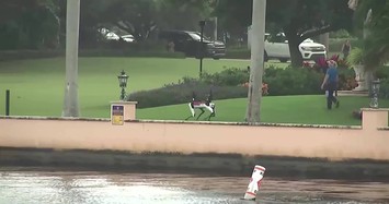 Chó robot tuần tra quanh dinh thự Mar-a-Lago