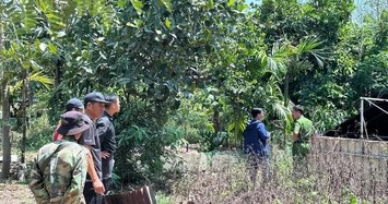 Đắk Nông: Điều tra vụ hai người đàn ông tử vong bất thường dưới ao nước nông