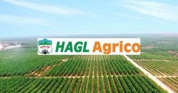 HAGL Agrico công bố lộ trình khắc phục tình trạng chứng khoán bị kiểm soát