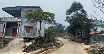 Quảng Ninh: Xây dựng Nam Kỳ trúng 2 gói thầu tại Bình Liêu