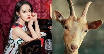 Hết tháng 7 có 3 con giáp gặp sao Thái Bạch cẩn trọng tiểu nhân làm hại tán gia bại sản