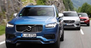 450 xe sang Volvo tại Việt Nam dính lỗi phanh khẩn cấp tự động 