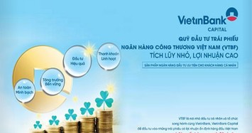 Vi phạm lĩnh vực chứng khoán, VietinbankCapital bị phạt hàng trăm triệu đồng