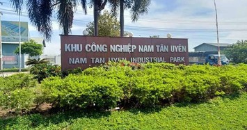 Lãi ròng NTC giảm 30% trong quý 4 do hụt nguồn thu từ cổ tức, lãi tiền gửi