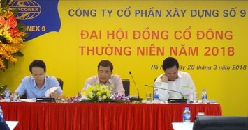 Thị giá VC9 'tím trần' sau tin Phó Chủ tịch muốn thoái 9,51% vốn