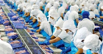 VHC: Doanh thu xuất khẩu tháng 1 vào Trung Quốc giảm mạnh 84%