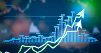 Nhóm bất động sản đồng loạt tím, VN-Index tăng gần 20 điểm