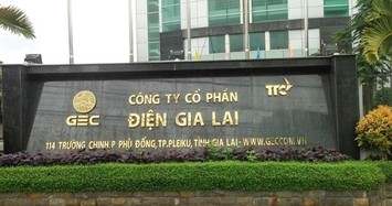 Vi phạm hành chính thuế, Điện Gia Lai bị phạt hàng trăm triệu đồng