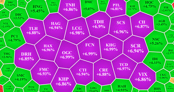 85 mã chứng khoán hôm nay tăng hết biên độ 