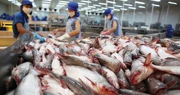 VHC: Doanh thu xuất khẩu sang Mỹ giảm đến 41%