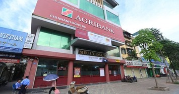 Lộ diện doanh nghiệp muốn thâu tóm công ty ALC I của Agribank?