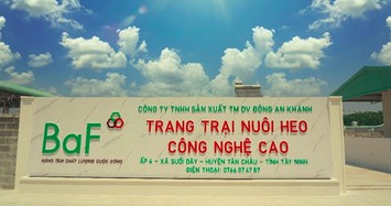 BaF Việt Nam chào bán hơn 7,1 triệu cổ phiếu ESOP, giá chiết khấu 55%