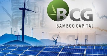 Bamboo Capital sắp chia hơn 80 triệu cổ phiếu cho cổ đông