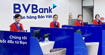 Lộ diện 9 nhà đầu tư sở hữu gần 20% vốn của BVBank