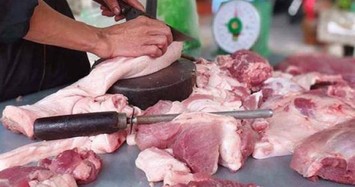 Giá heo hơi hôm nay: Giảm mạnh tới 4.000 đồng/kg